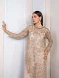 3-piece-net-suit-embroidered(pret)