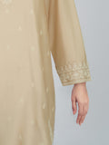 2-piece-silk-suit--embroidered-(pret)