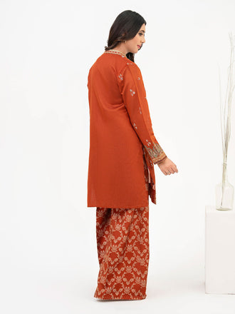 2-piece-net-suit-embroidered-(pret)