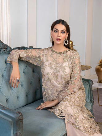 3-piece-net-suit-embroidered(pret)