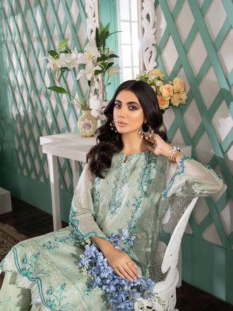 2-piece-net-suit-embroidered-(pret)