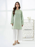 cambric-kurti-embroidered-(pret)