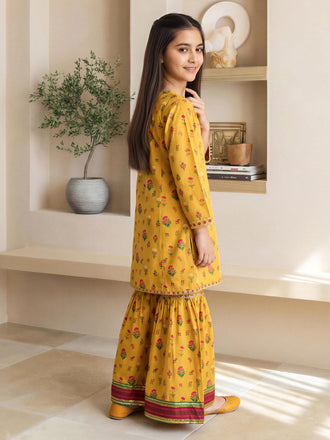 2-piece-lawn-suit--embroidered-(pret)
